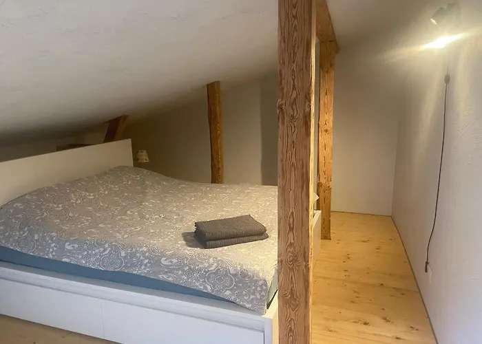 Cesis City Apartment